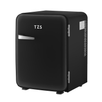 MINIBAR, RETRO, HANDLE, THERMOELECTRIC, 40L, R600A, 22DB, E
